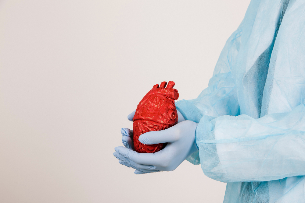 Mengenal Kardiomegali atau Pembesaran Jantung